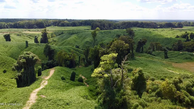 $250,000 | Ms-12, Lexington, MS 39095