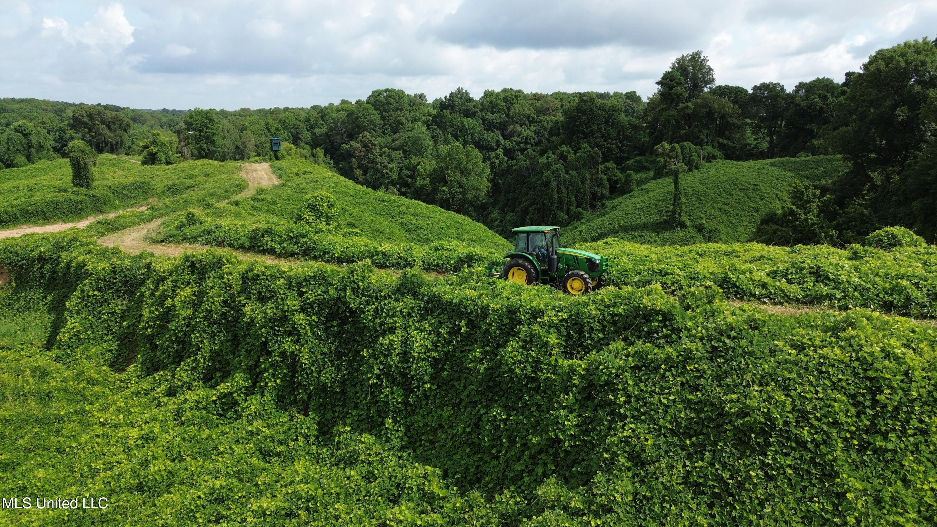 Ms-12 Lexington, MS 39095 - Photo 10 of 17 IMG_9449
