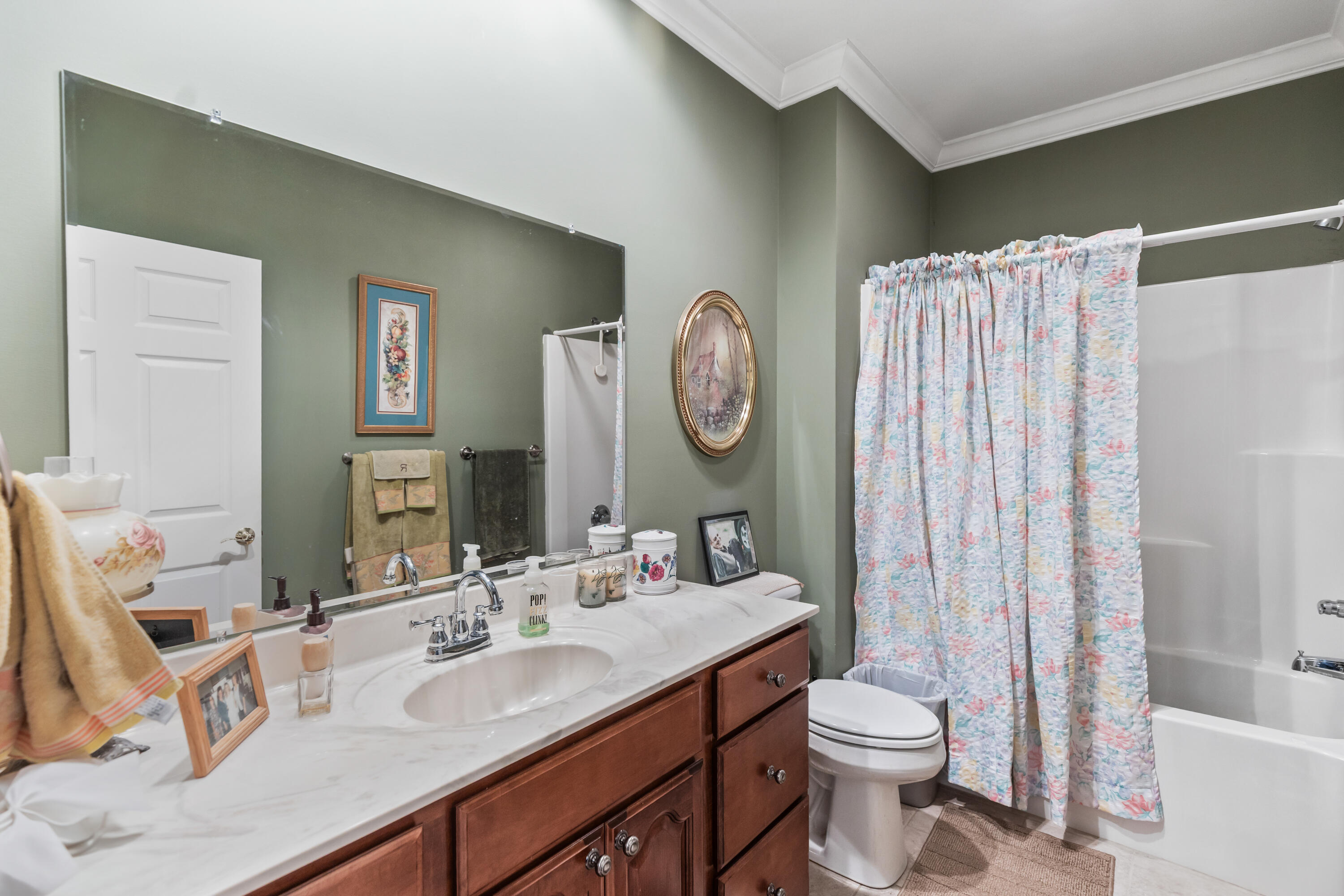 268 Gentle Mist Lane Cleveland, TN 37312 - Photo 26 of 77 146A3362