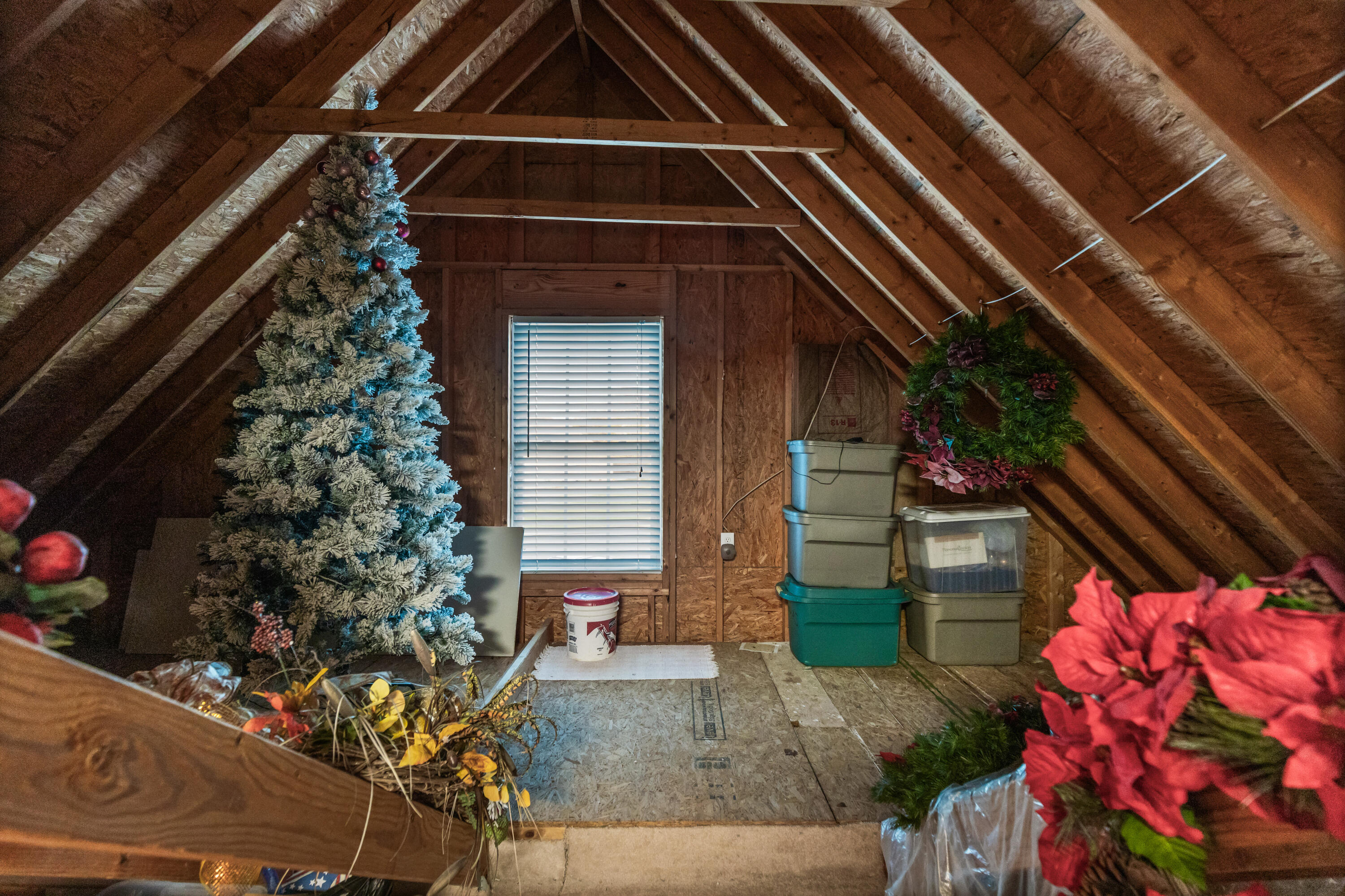 268 Gentle Mist Lane Cleveland, TN 37312 - Photo 66 of 77 146A3425