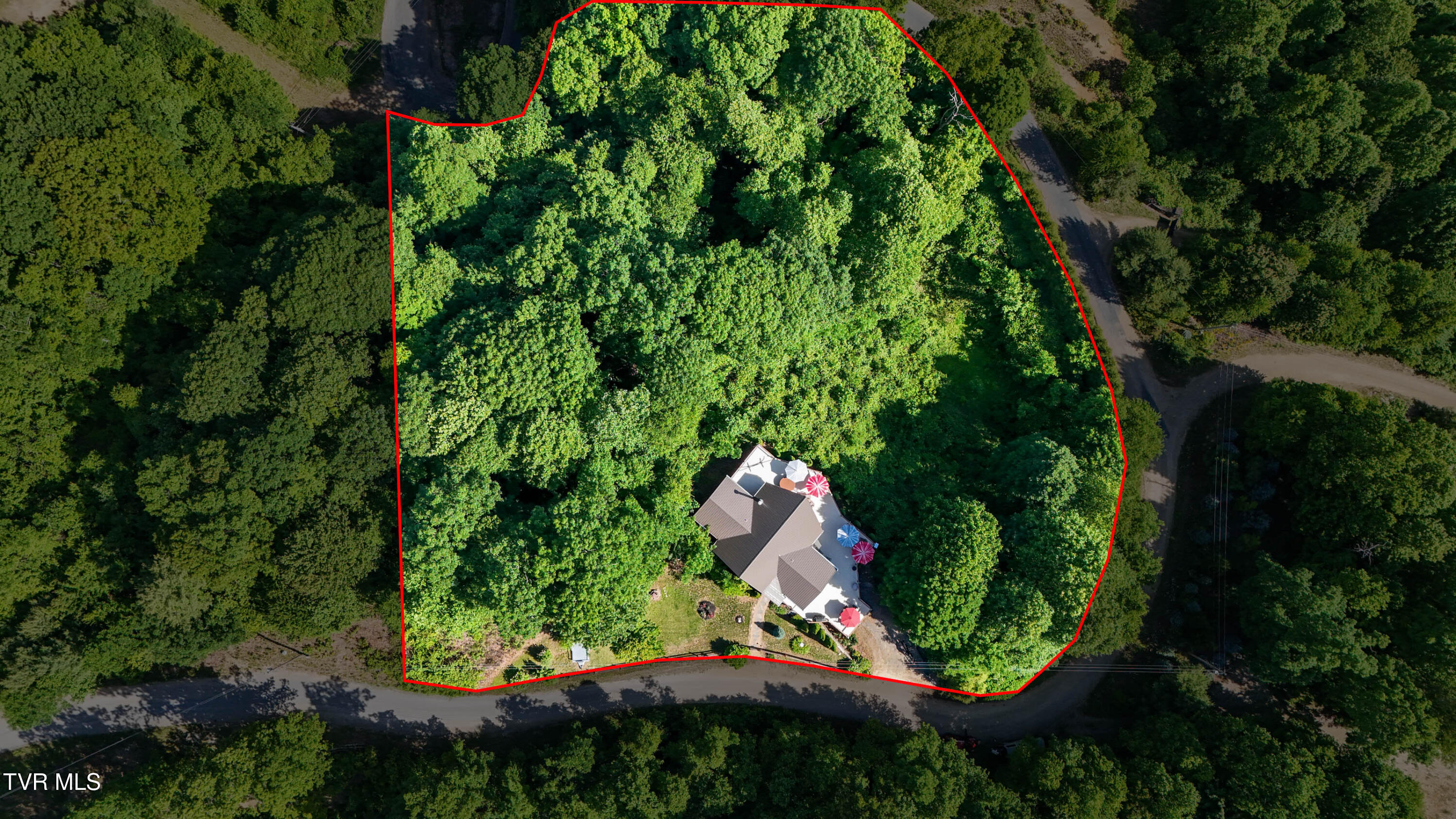 807 Vista Road Butler, TN 37640 - Photo 41 of 61 Aerial View 5