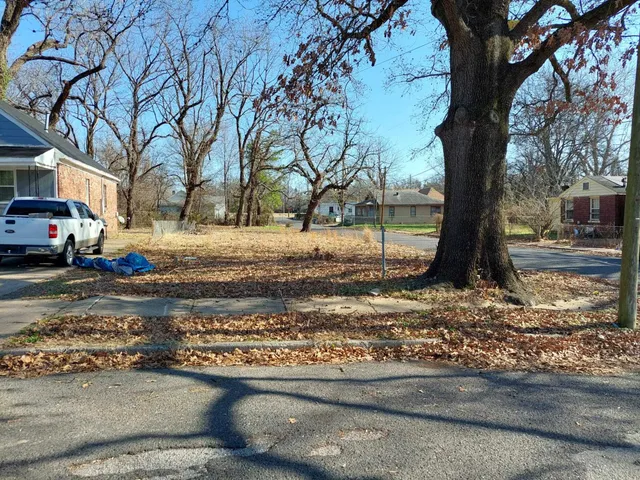 a view of a yard with a tree