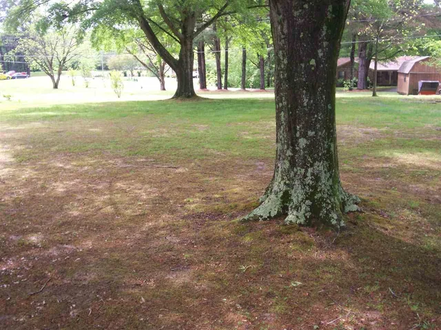 $13,500 | 0 James Road, Bolivar, TN 38008