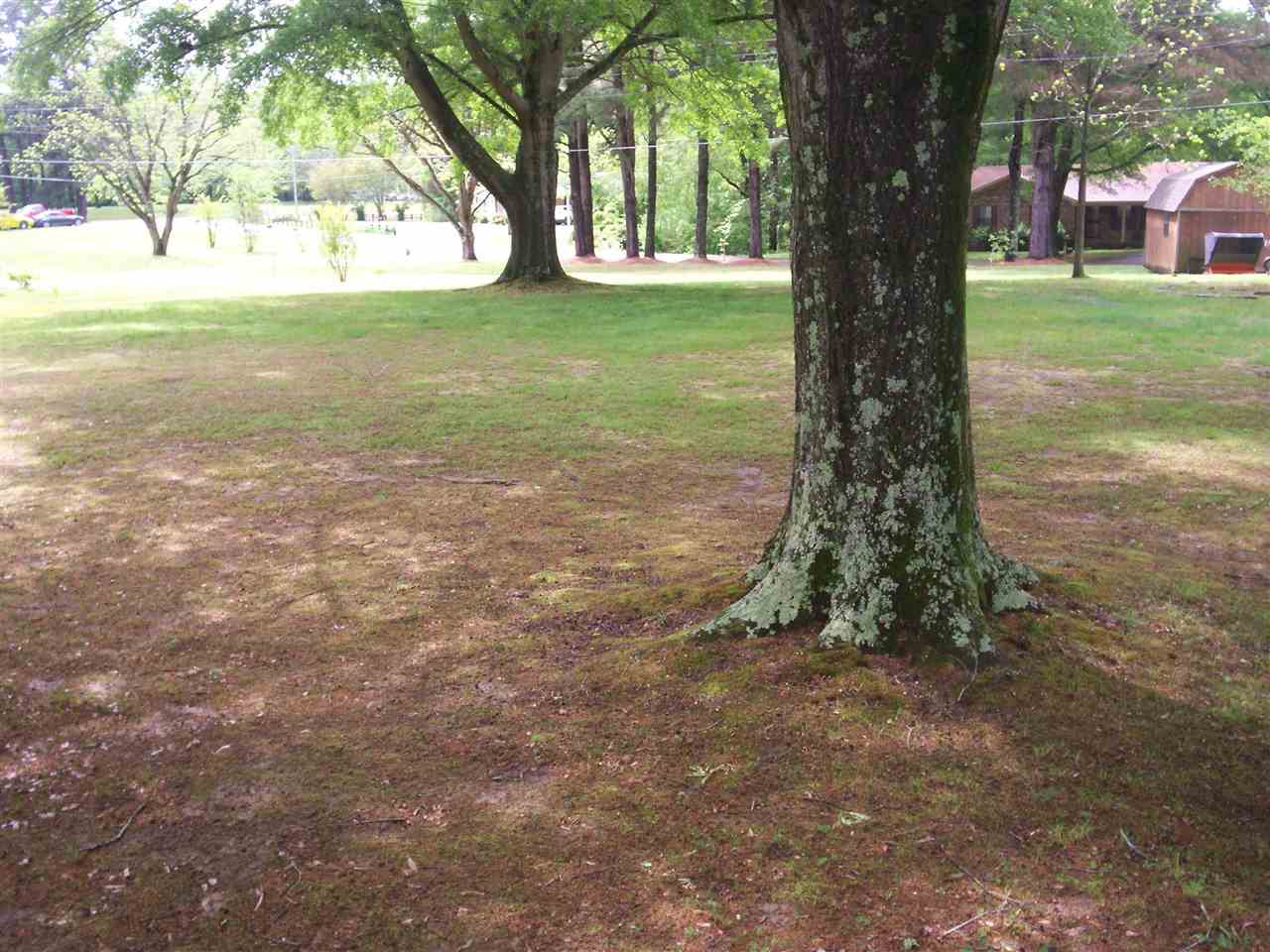 0 James Road Bolivar, TN 38008 - Photo 2 of 4