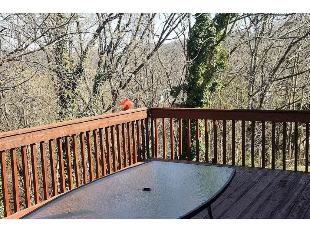 2810 Big Ridge Road Johnson City, TN 37601 - Photo 20 of 24 Big Porch Off Kitchen