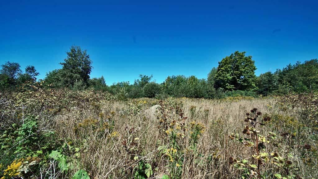 562 Rt 212 Road Merrill, ME 04780 - Photo 4 of 30 lot-13-rt-212-me-land