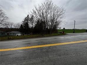 0 Malden Road Brownsville, PA 15417 - Photo 5 of 12 a view of a yard with palm trees