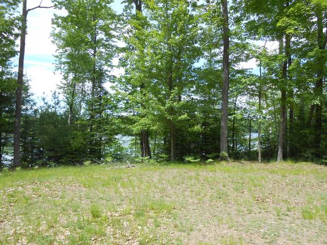 Off Sand Lake Road Harshaw, WI 54529 - Photo 13 of 20 Gallery Image 13