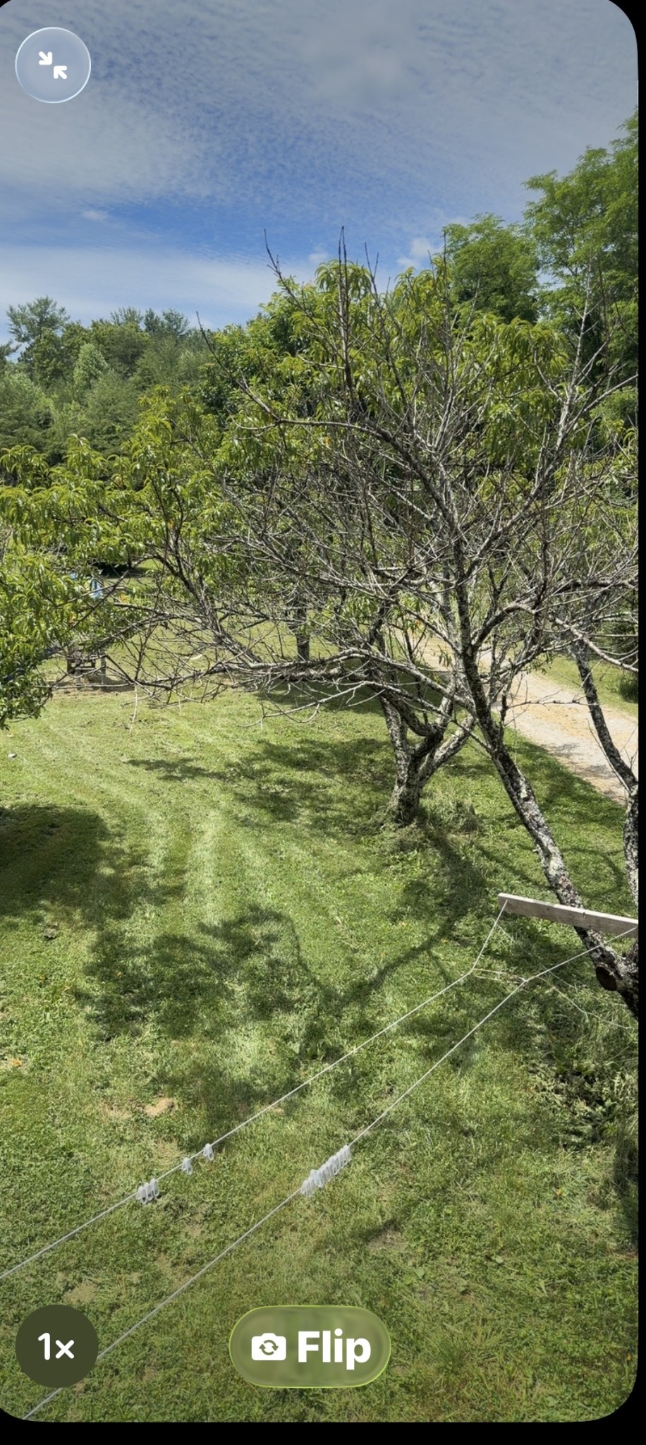 200 Rattlesnake Road McMinnville, TN 37110 - Photo 17 of 18