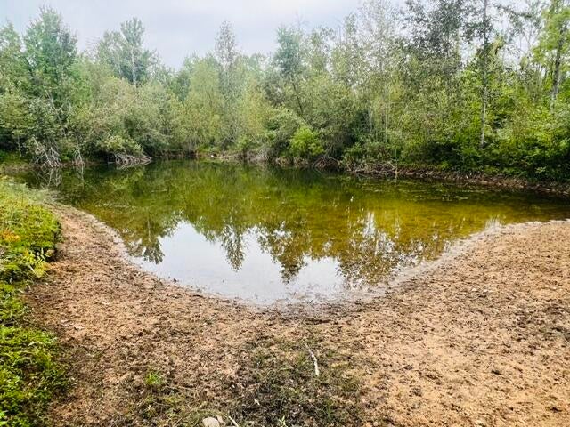 8293 Tucker Road Onaway, MI 49765 - Photo 30 of 34 Gallery Image 30