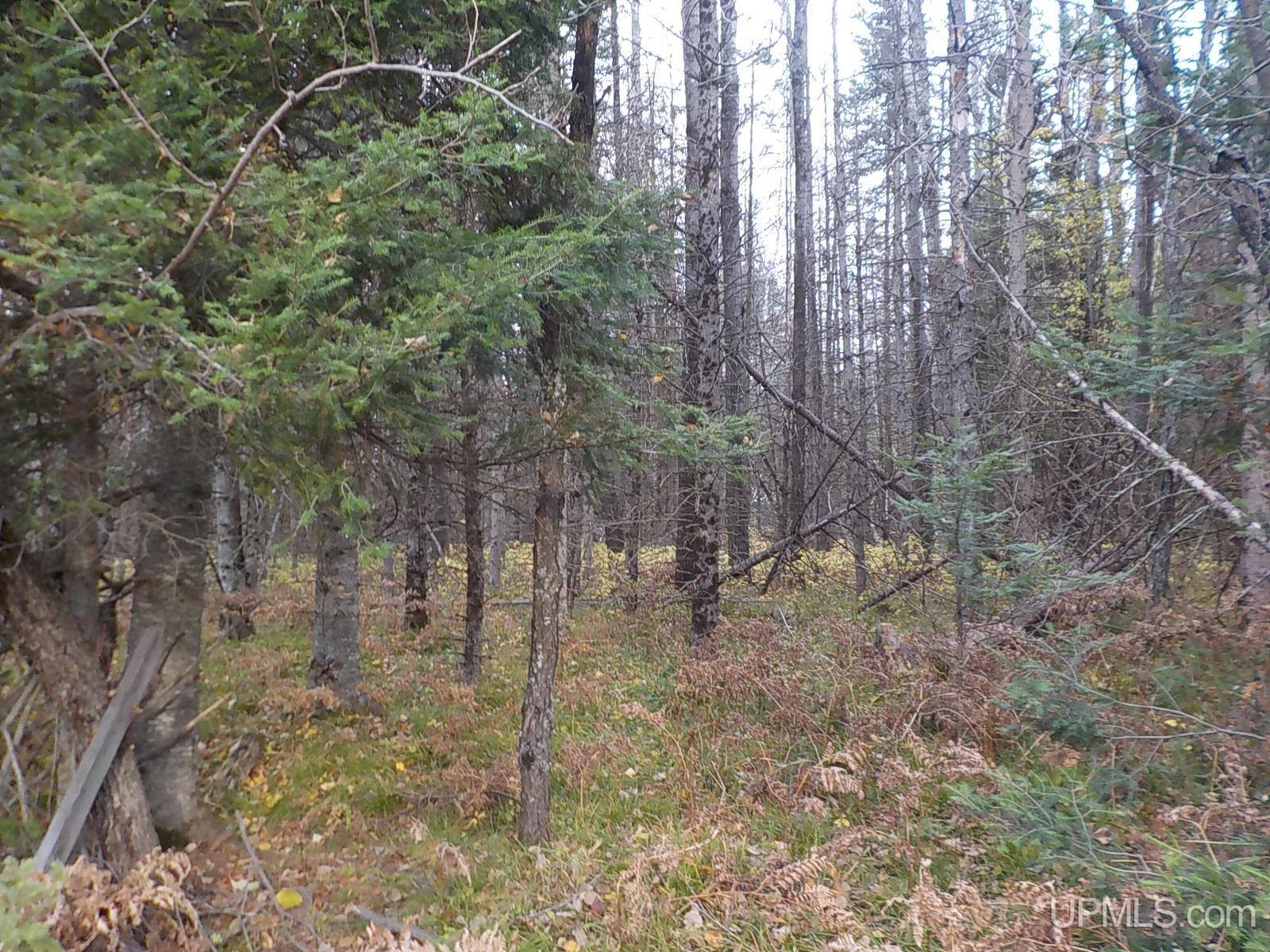 10-ac Lind Road Crystal Falls, MI 49920 - Photo 7 of 16