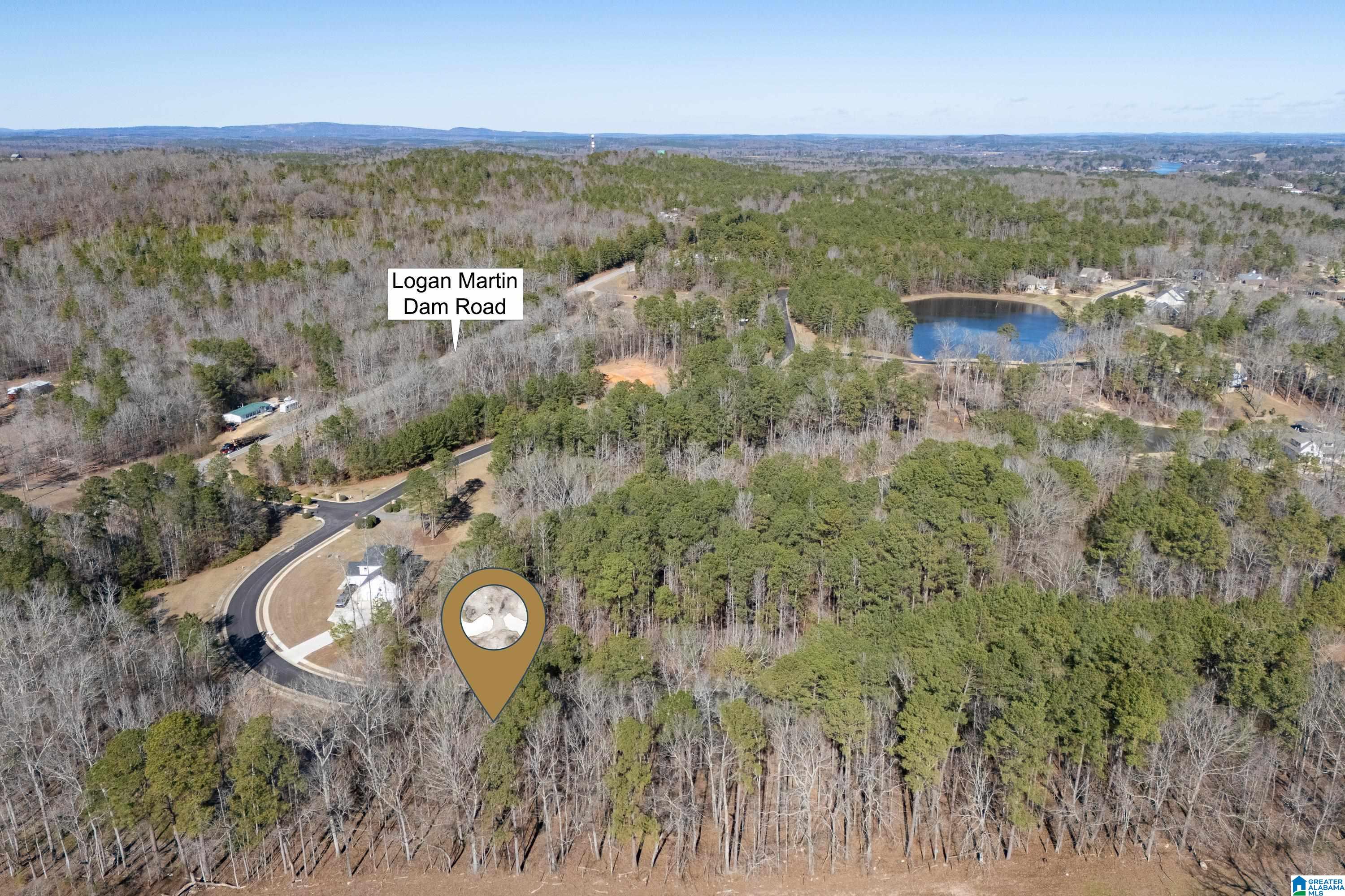 100 Coves Drive Vincent, AL 35178 - Photo 13 of 21