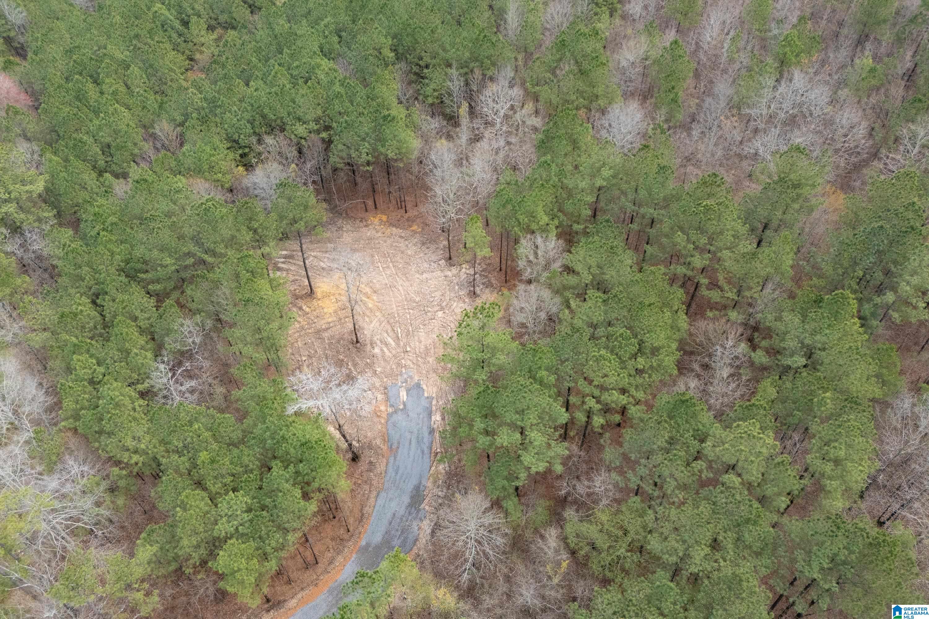 7 Fisher Phillips, Unit 7 Ashville, AL 35953 - Photo 4 of 28