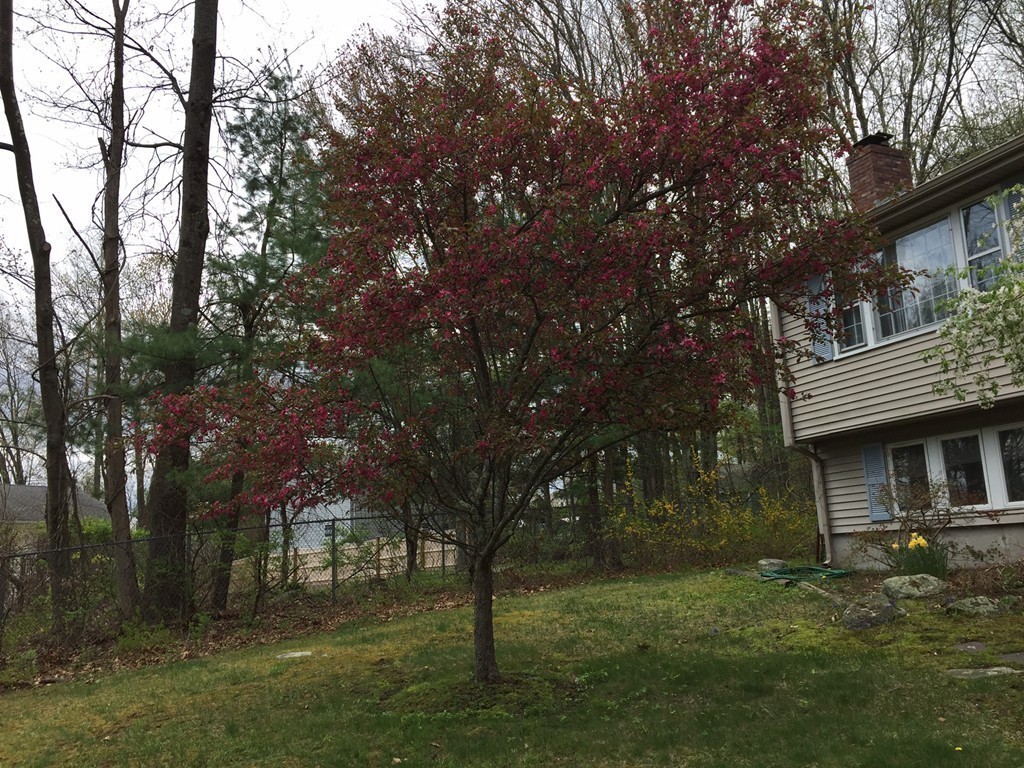 39 Old Bolton Road Hudson, MA 01749 - Photo 2 of 19 a view of house with yard