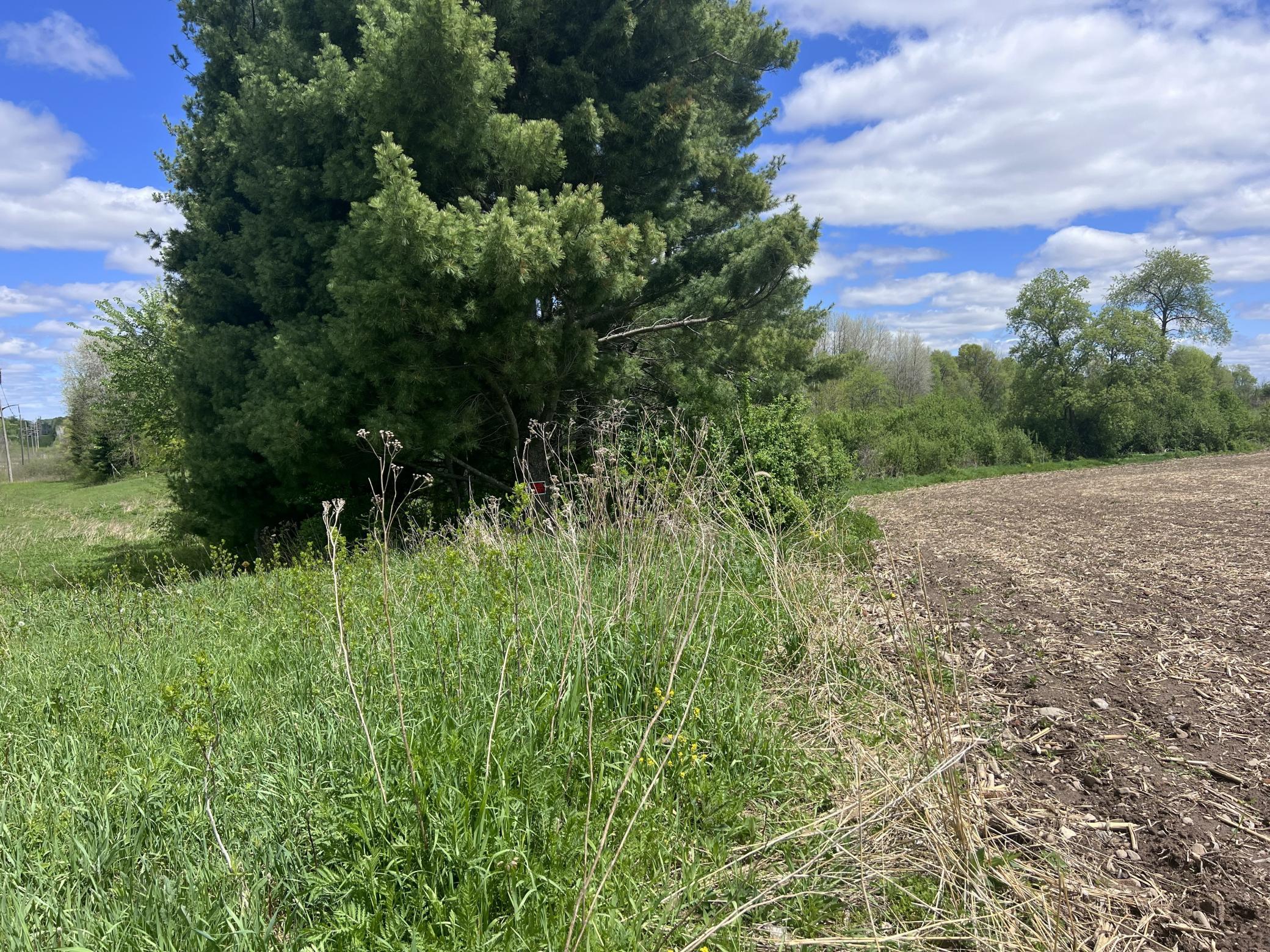 Tbd Tbd County Line Avenue Clear Lake, WI 54005 - Photo 10 of 11