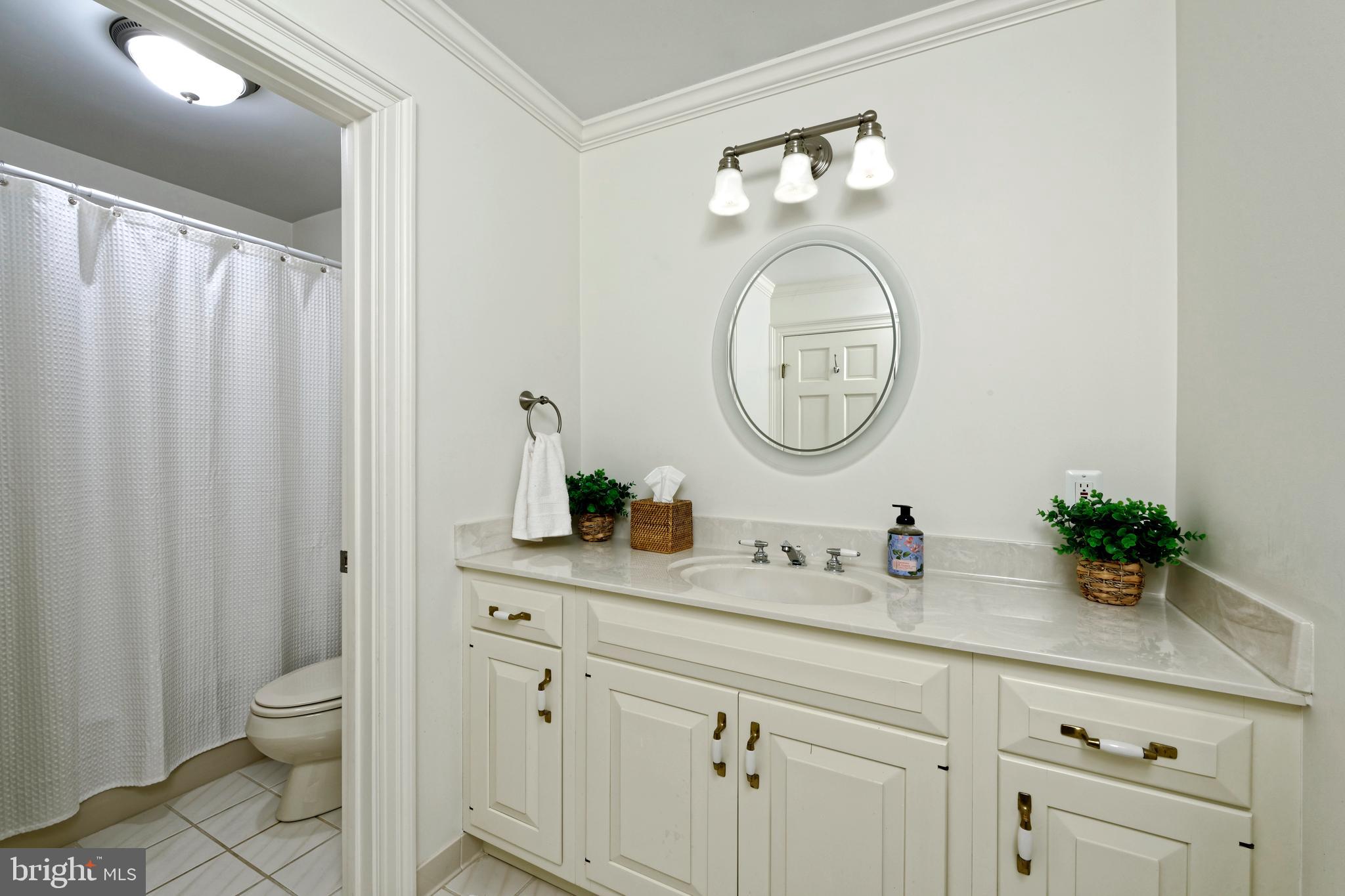 1310 Delaplane Grade Road Upperville, VA 20184 - Photo 35 of 94 Hallway full bath has tub/shower combo