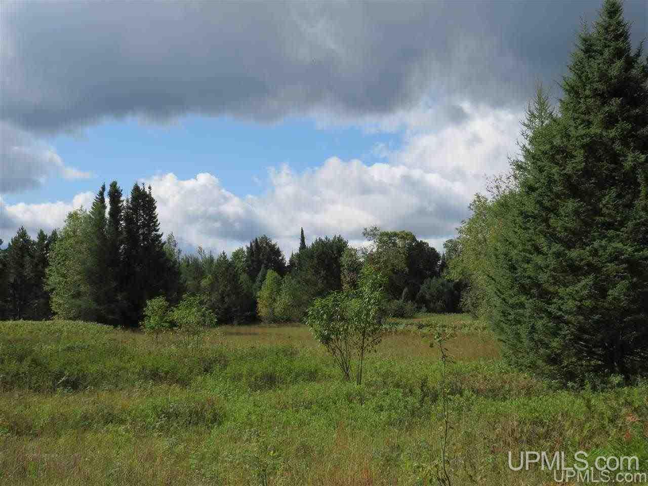 Tbd Off Lake On Three Road Trout Creek, MI 49967 - Photo 42 of 50