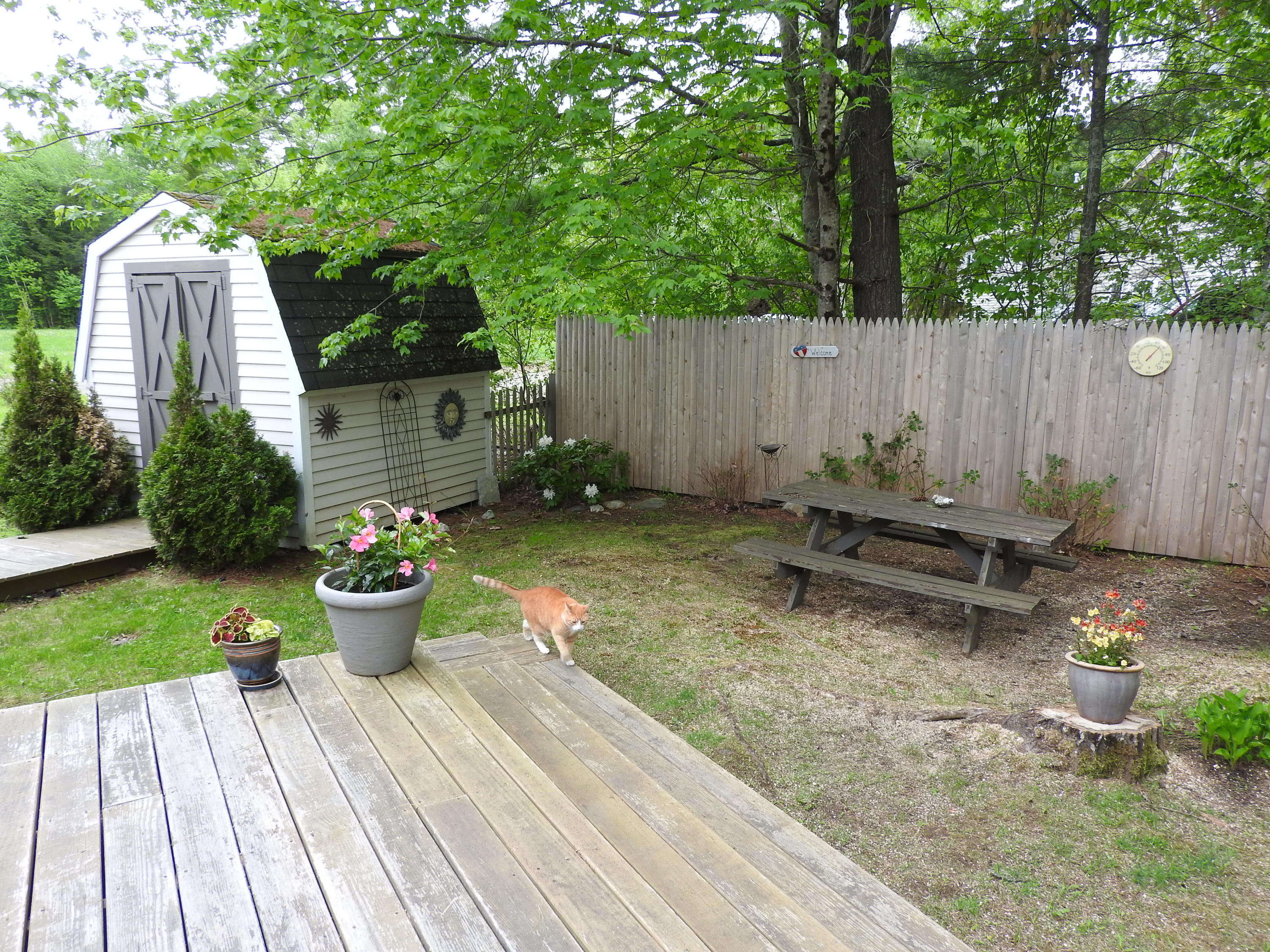16 Cedar Road Belmont, ME 04952 - Photo 4 of 24 Whitney back deck & shed