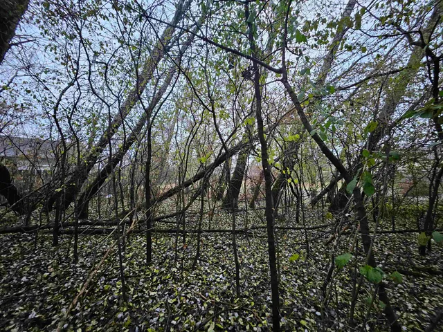 $548,900 | 2634 Hamilton Street, Portage, WI 53901