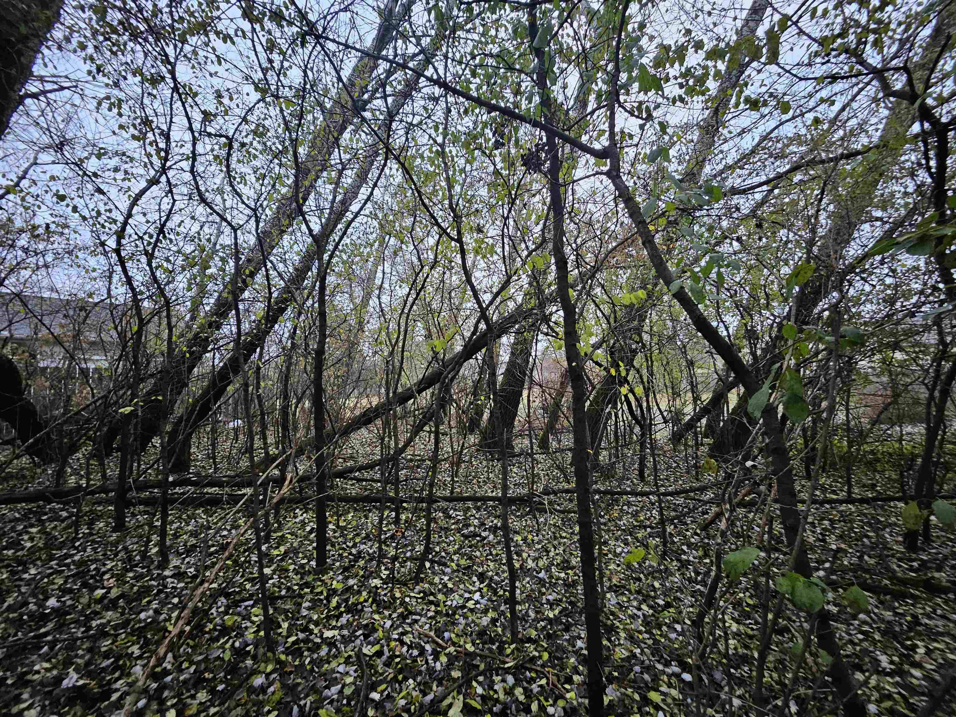 2634 Hamilton Street Portage, WI 53901 - Photo 38 of 39