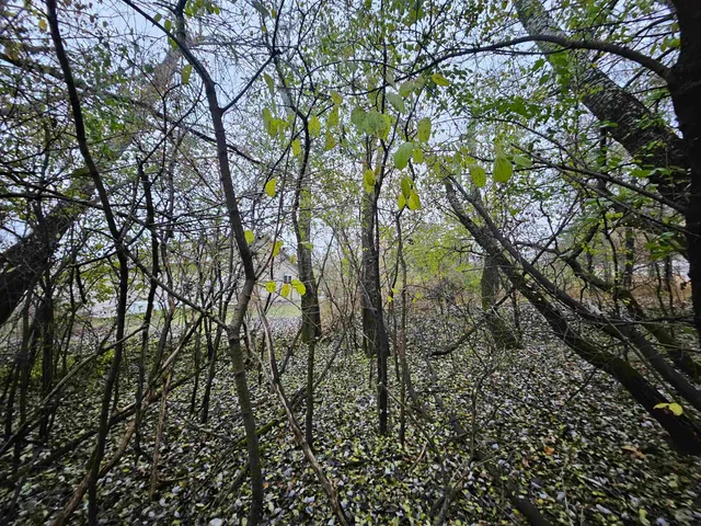 $548,900 | 2634 Hamilton Street, Portage, WI 53901