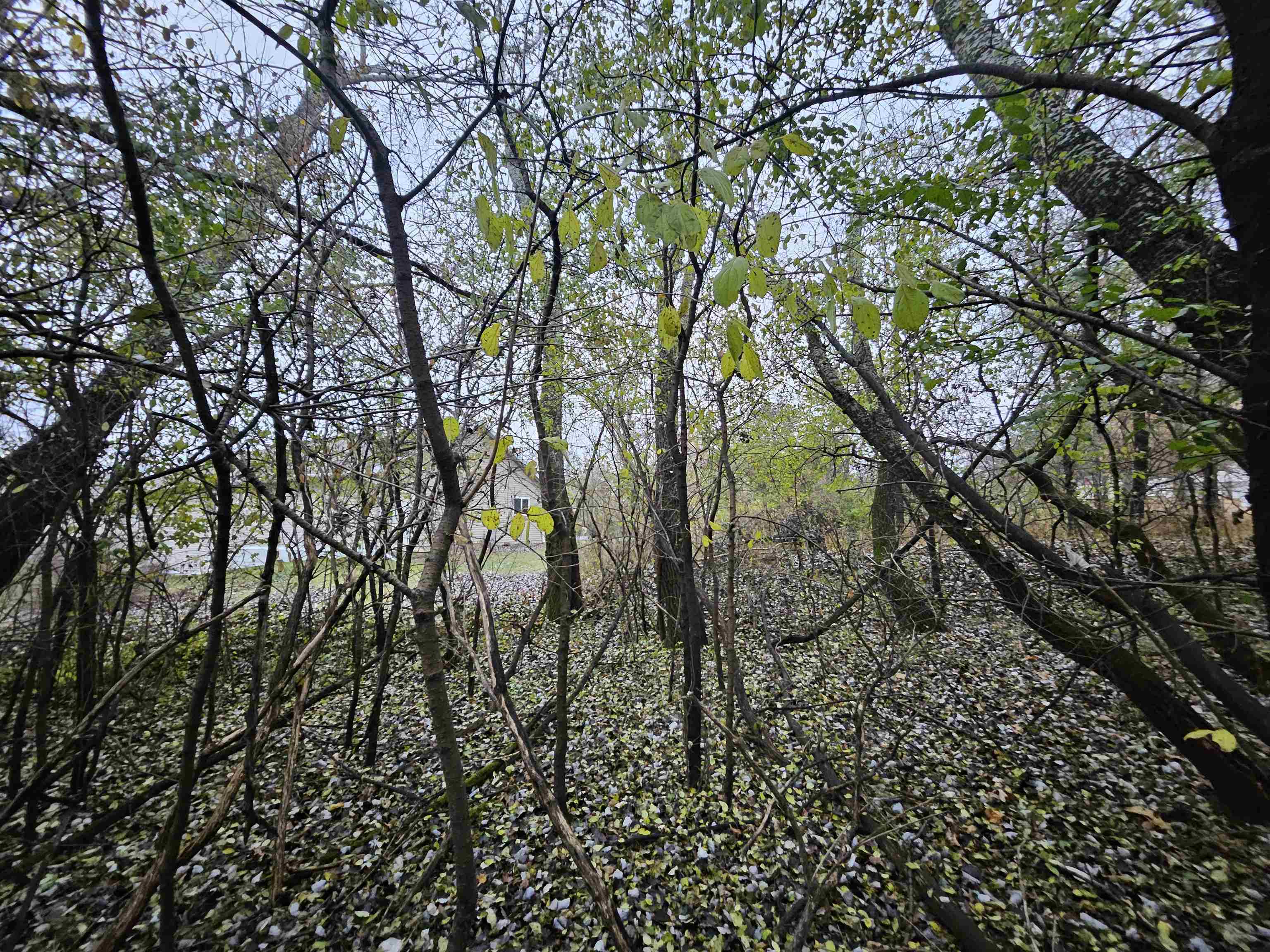 2634 Hamilton Street Portage, WI 53901 - Photo 39 of 39