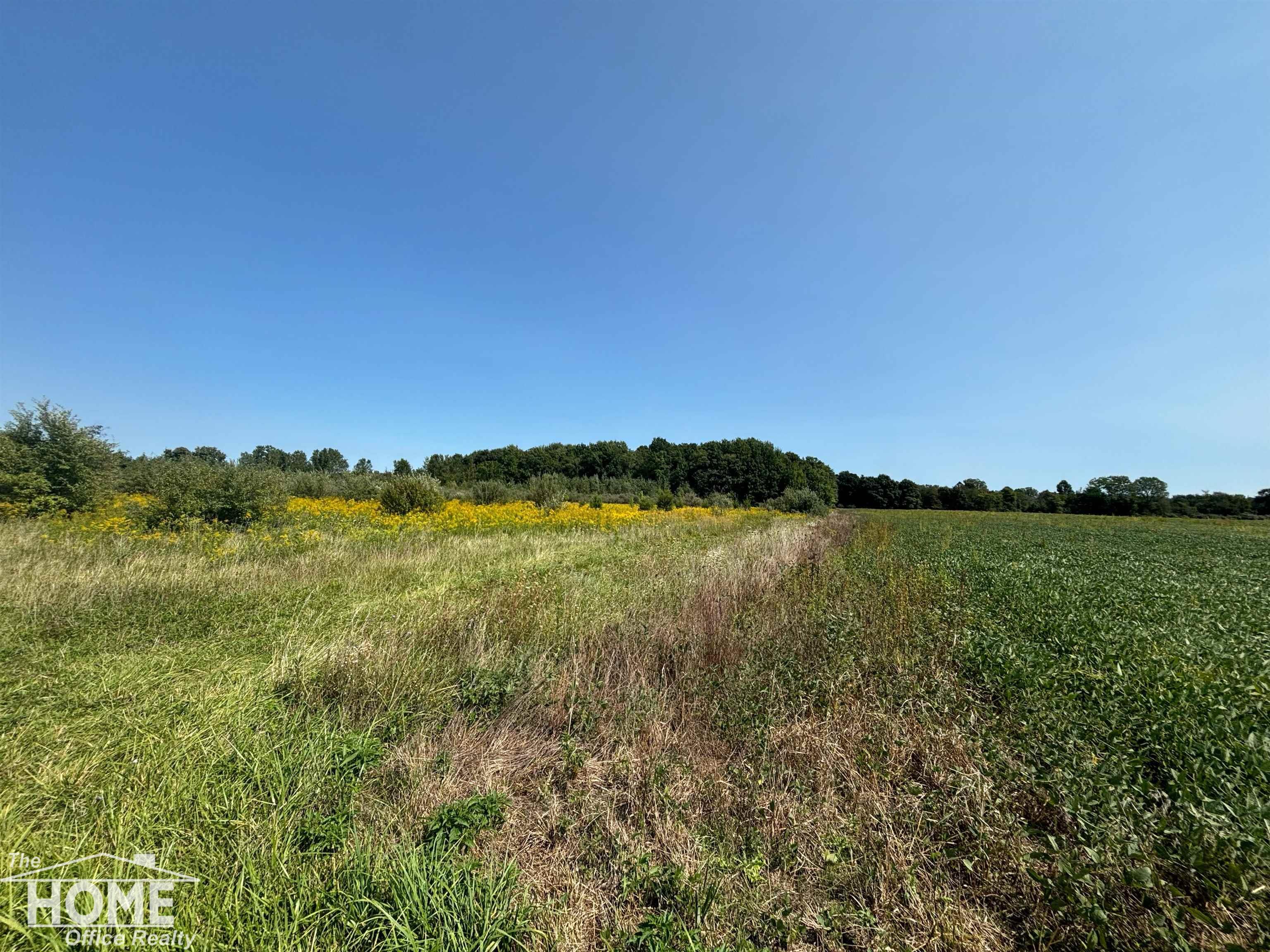 Walters Road Oakley, MI 48649 - Photo 1 of 3