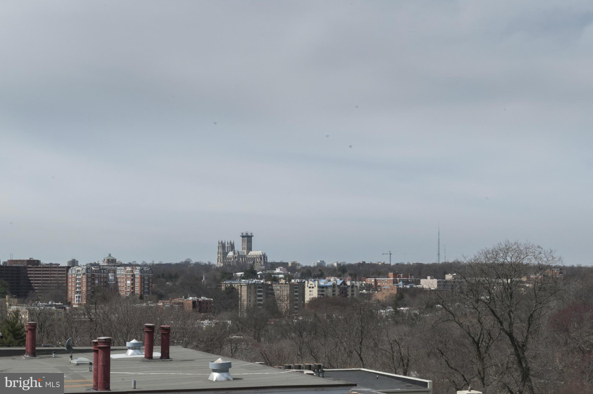 1801 Calvert Street Northwest, Unit G9 Washington, DC 20009 - Photo 23 of 25 Roof Deck View