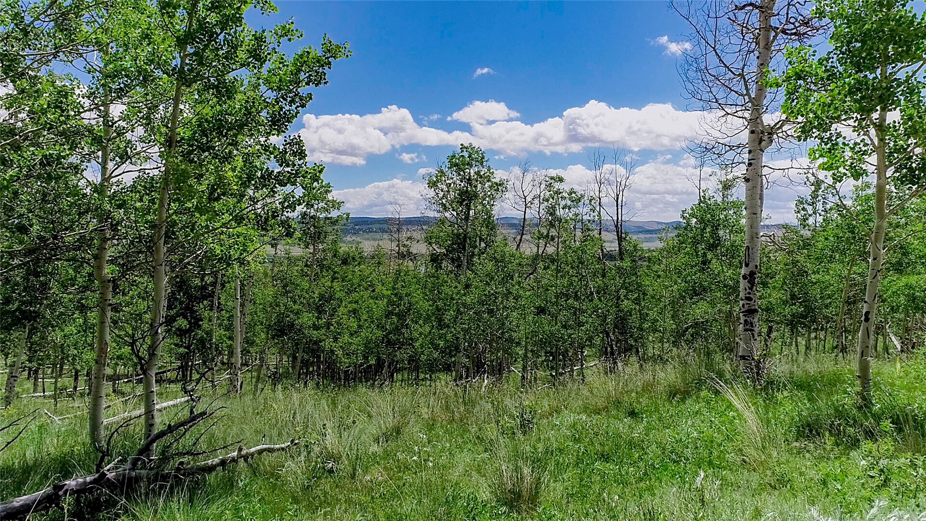 1047 Lumberjack Road Fairplay, CO 80440 - Photo 16 of 27 a view of a lake and green space