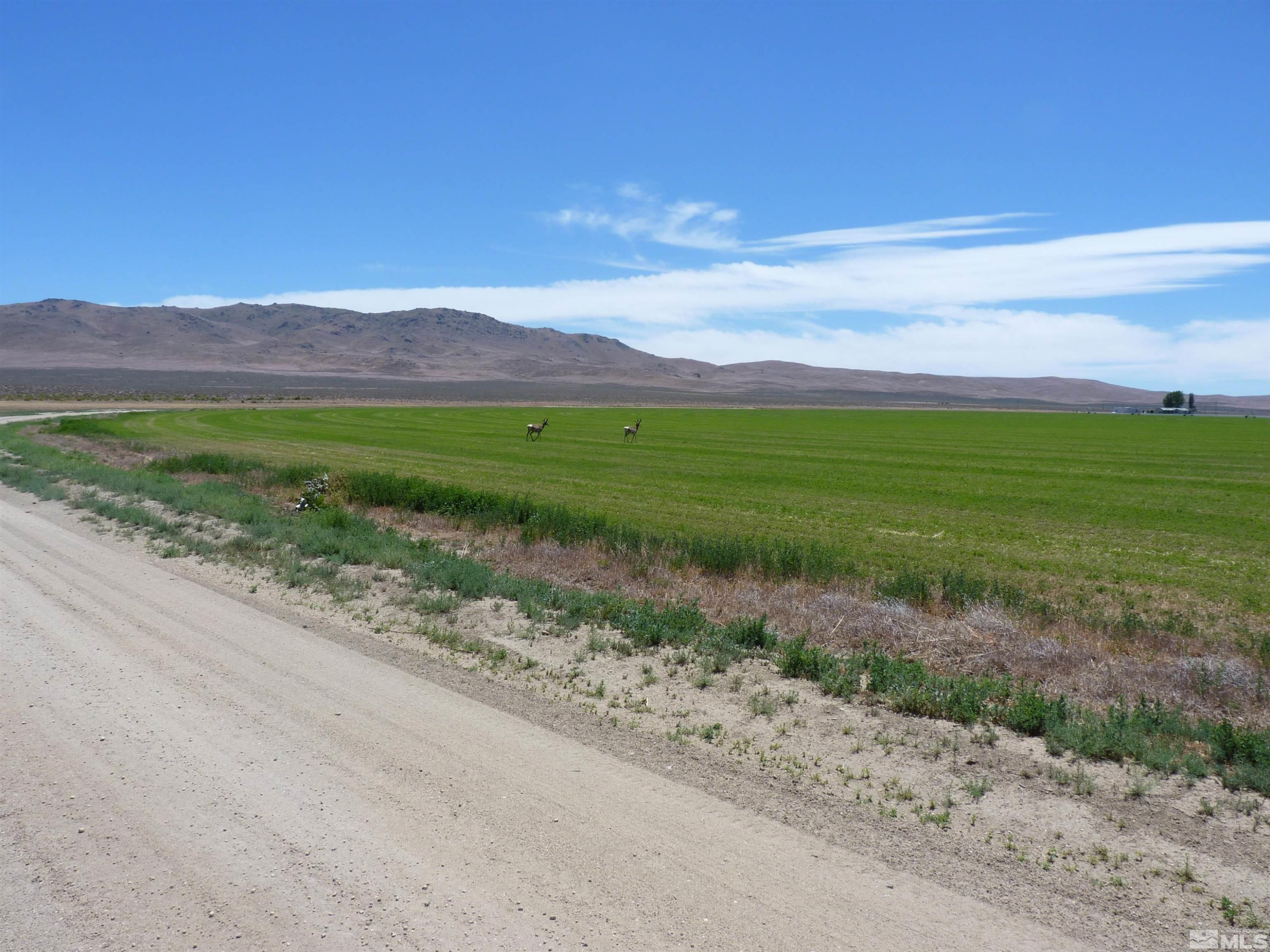 51955 Wilder Creek Road Denio, NV 89404 - Photo 25 of 36 a view of a road with an ocean view