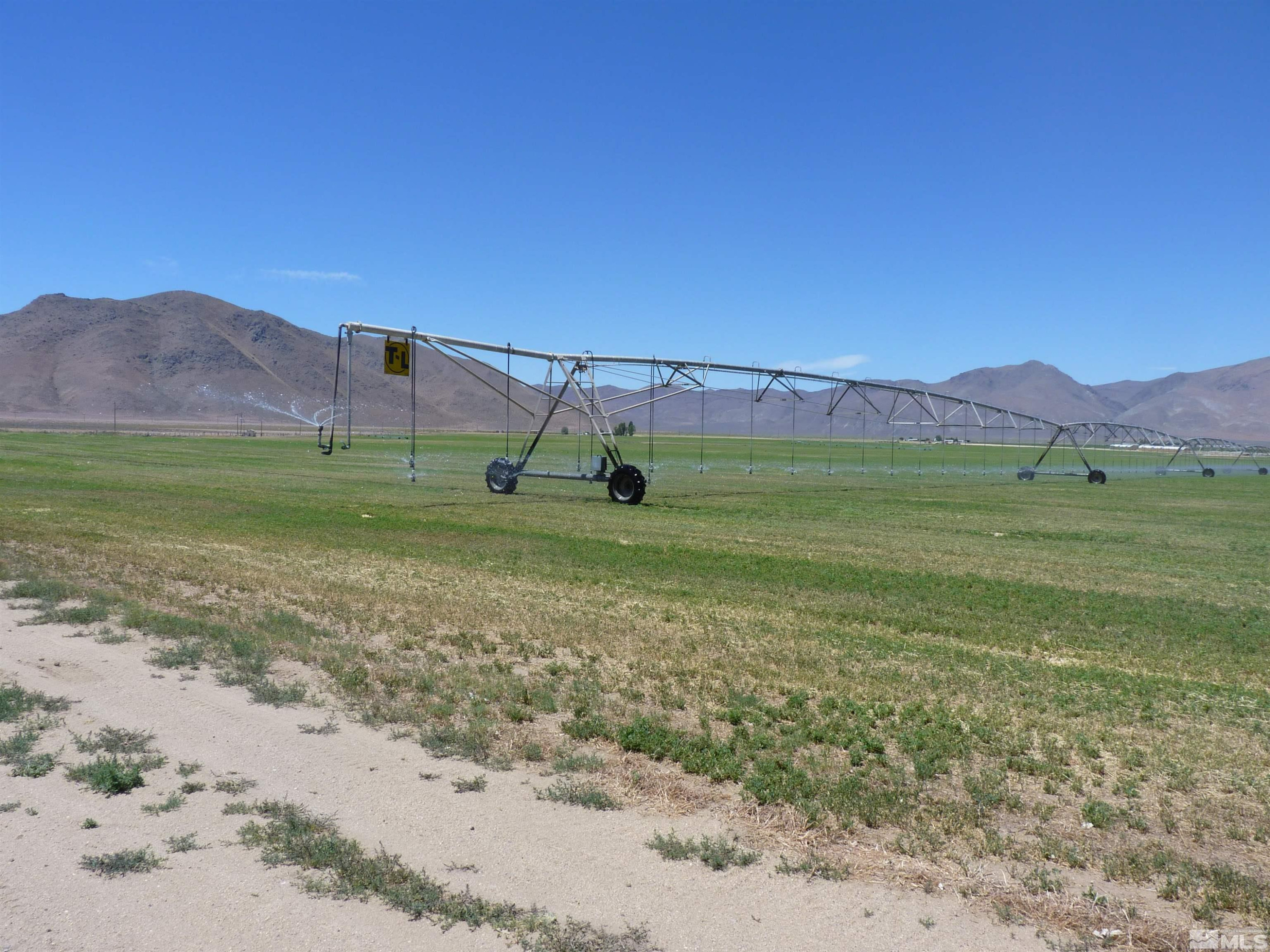 51955 Wilder Creek Road Denio, NV 89404 - Photo 26 of 36