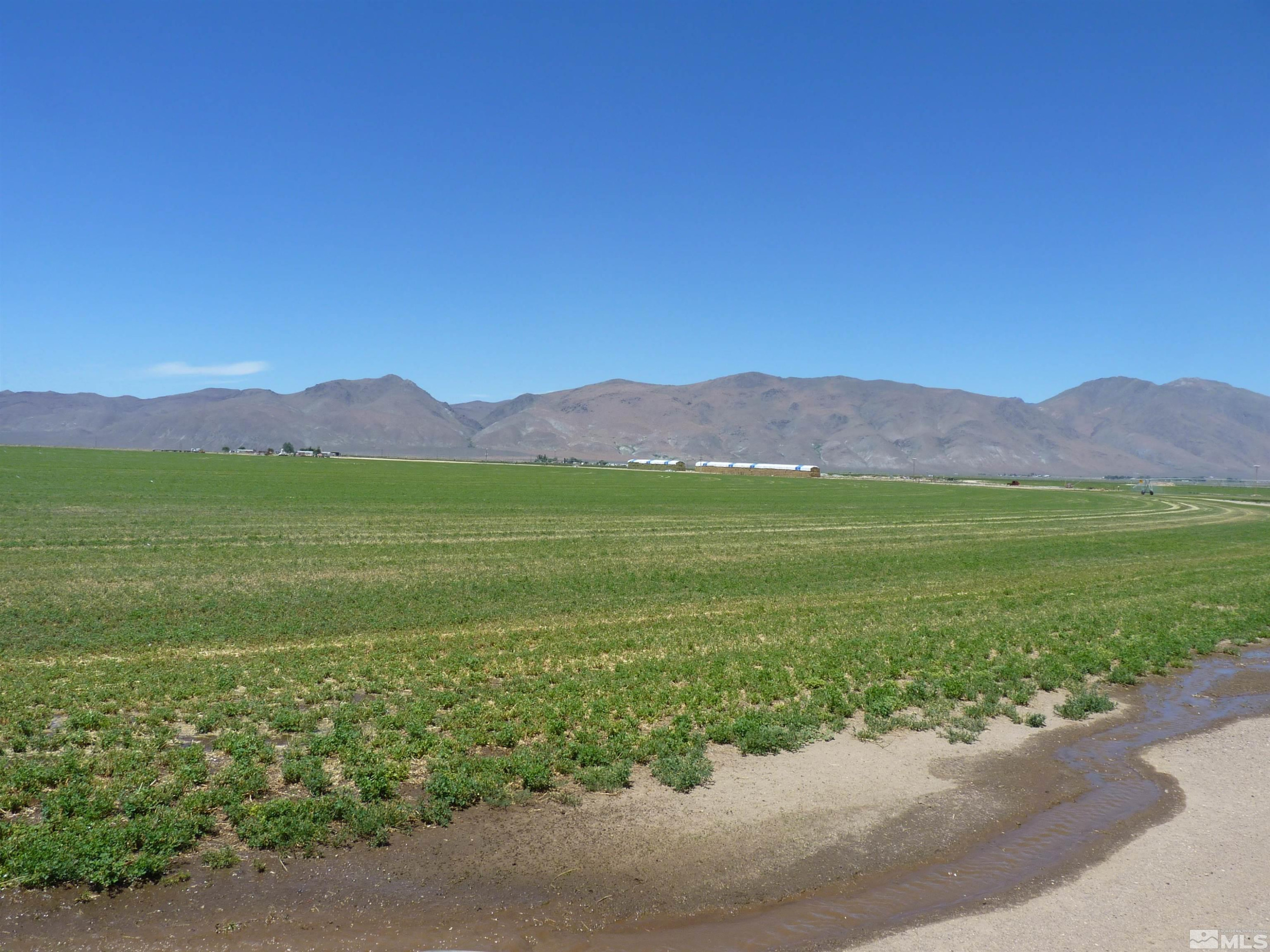 51955 Wilder Creek Road Denio, NV 89404 - Photo 29 of 36 a view of a lush green hillside and a houses