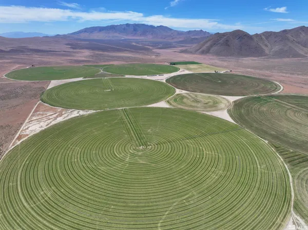 $8,000,000 | 51955 Wilder Creek Road, Denio, NV 89404