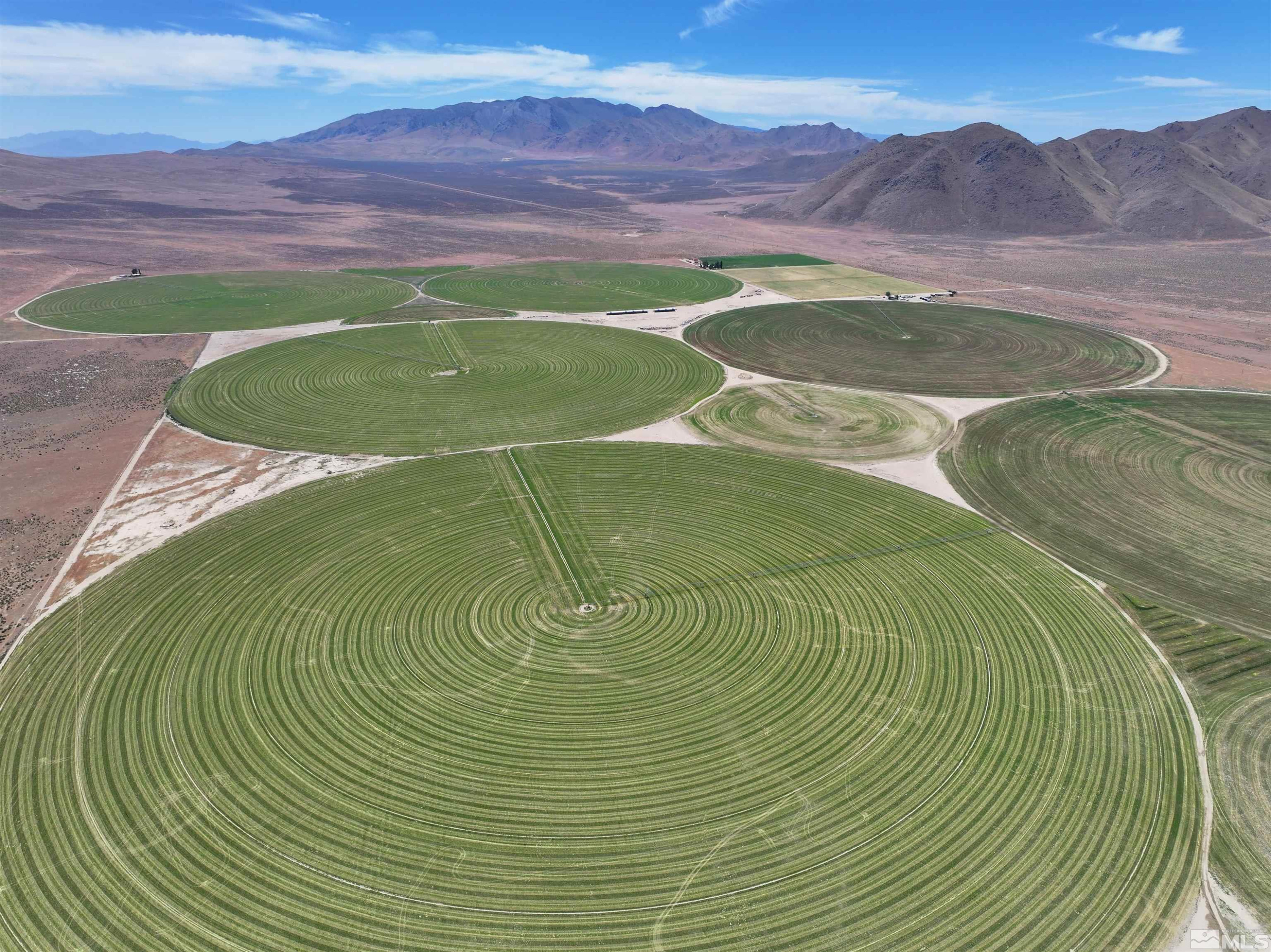 51955 Wilder Creek Road Denio, NV 89404 - Photo 33 of 36 a view of a big room with a garden