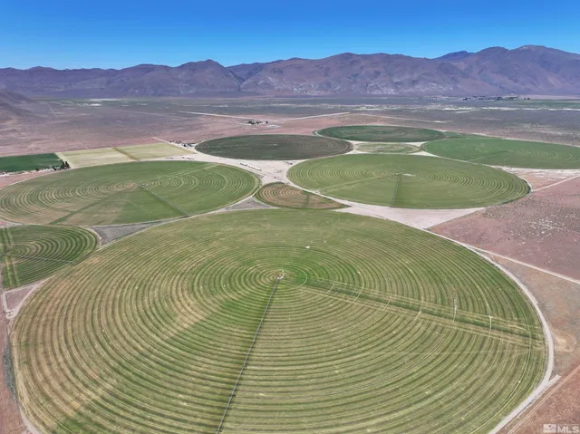 $8,000,000 | 51955 Wilder Creek Road, Denio, NV 89404