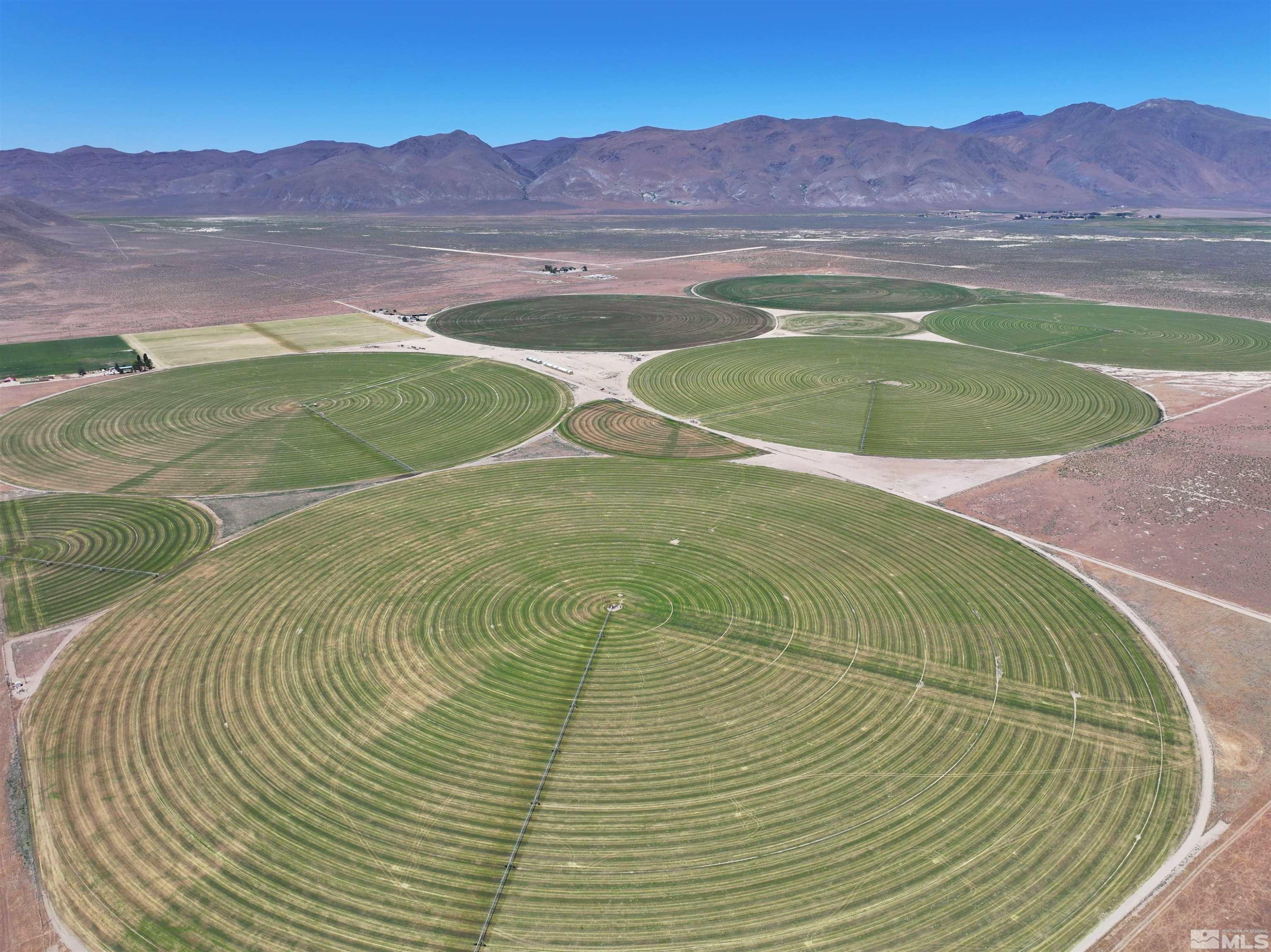 51955 Wilder Creek Road Denio, NV 89404 - Photo 34 of 36 a view of a backyard