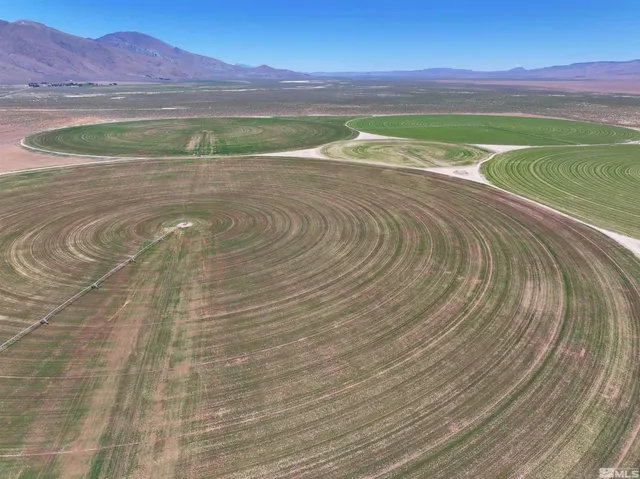 $8,000,000 | 51955 Wilder Creek Road, Denio, NV 89404