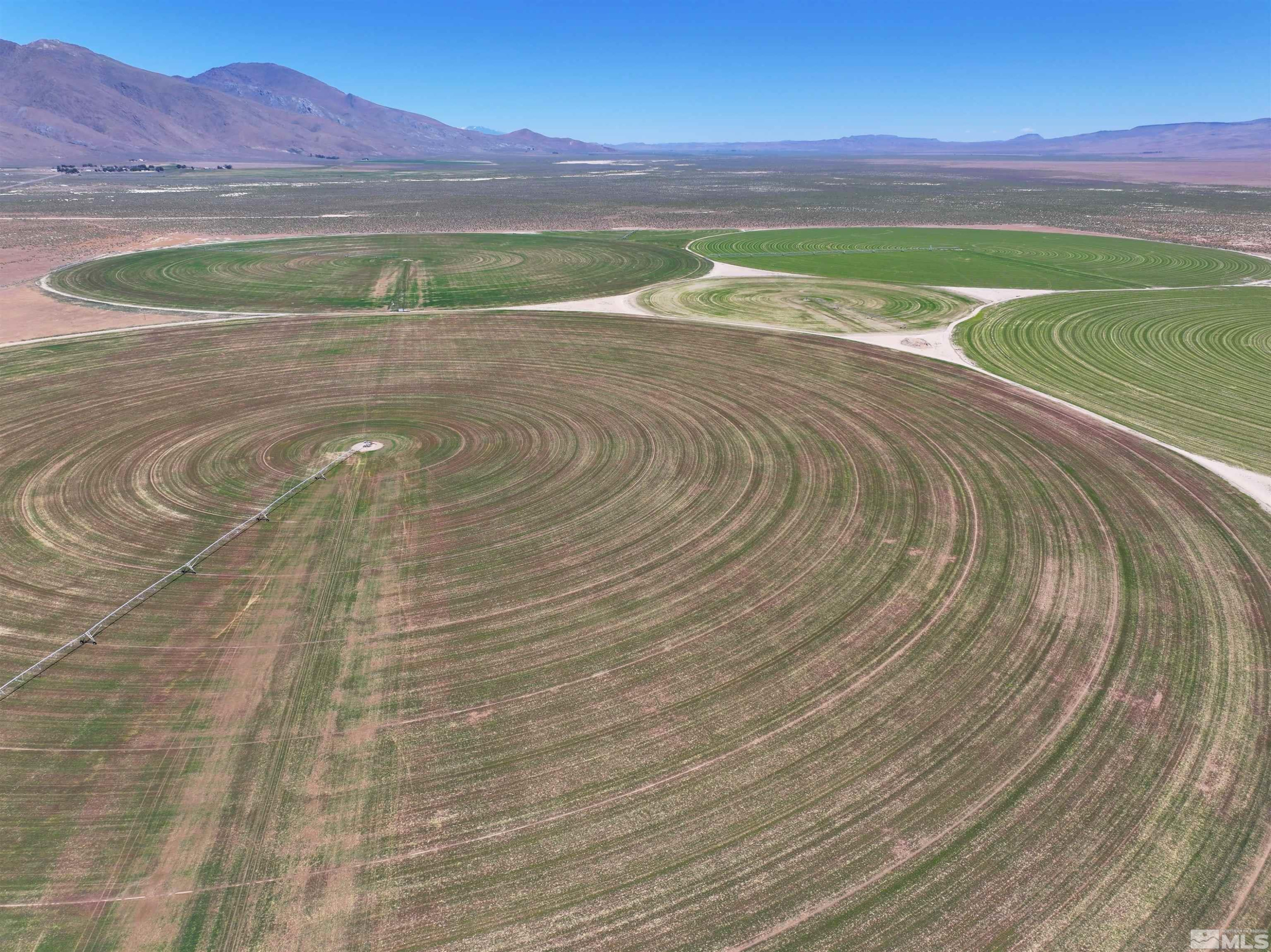 51955 Wilder Creek Road Denio, NV 89404 - Photo 35 of 36 a view of a room with a yard