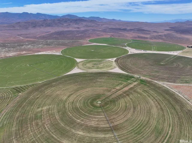 $8,000,000 | 51955 Wilder Creek Road, Denio, NV 89404