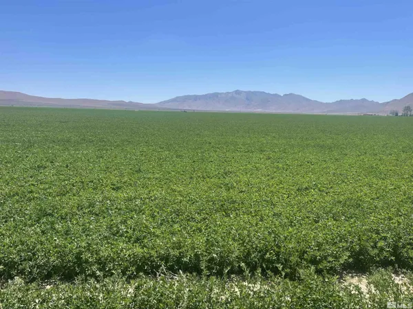a view of a lush green outdoor space and a mountain view