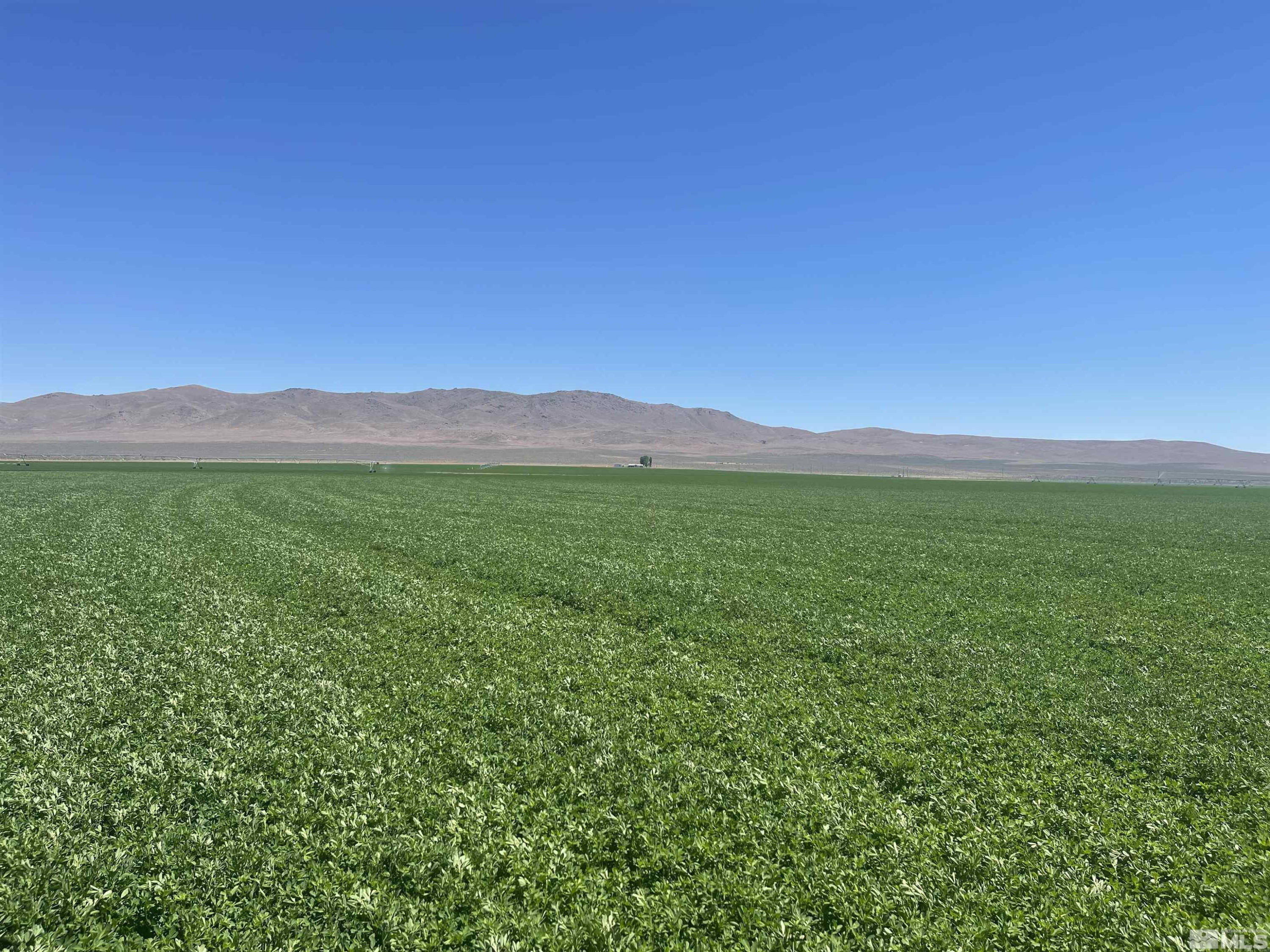 51955 Wilder Creek Road Denio, NV 89404 - Photo 5 of 36 a view of outdoor space and mountain view