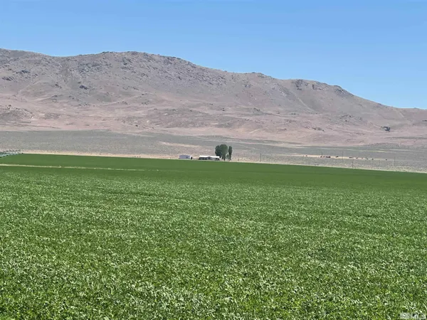 a view of a field with an ocean