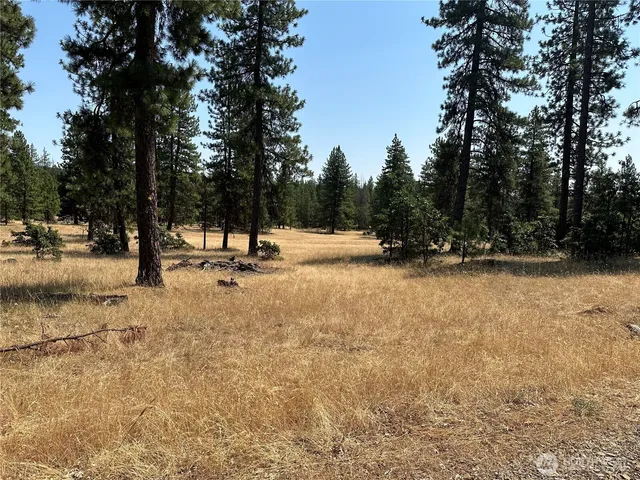 $250,000 | 13 Grayback Road, Goldendale, WA 98620