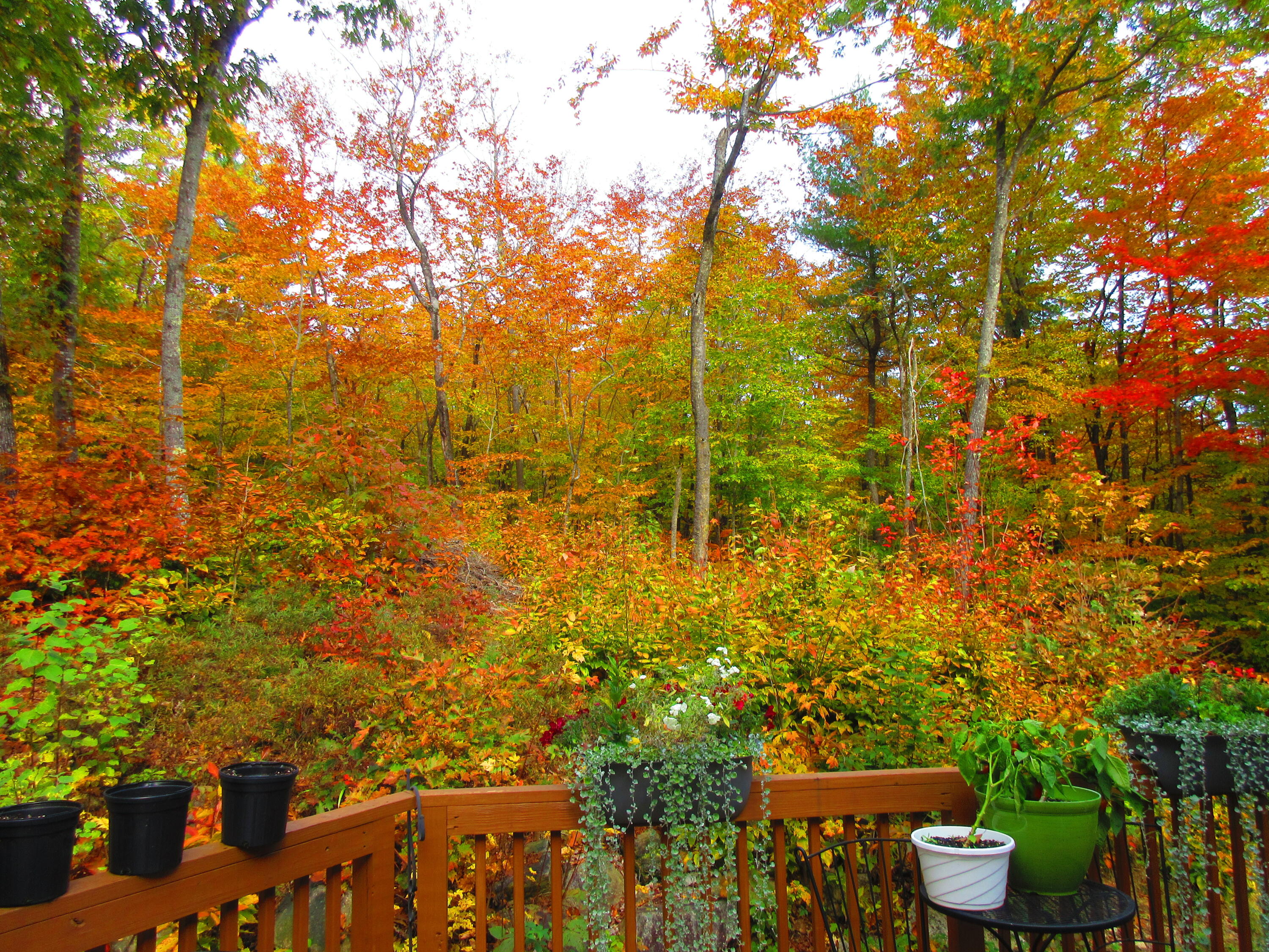 1418 Bridgton Road Sebago, ME 04029 - Photo 29 of 39 IMG_0619