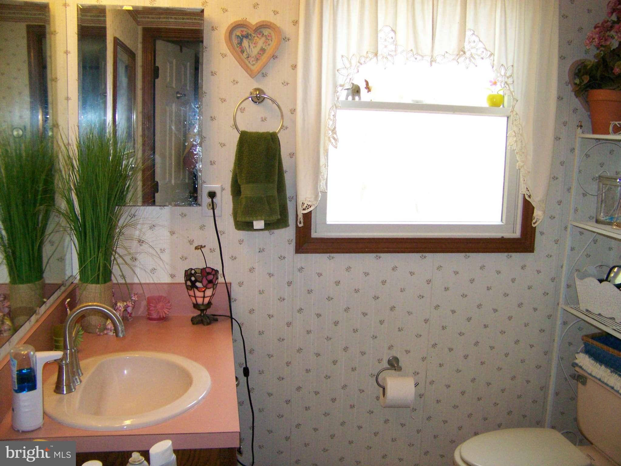 14541 Old Catoctin Road Smithsburg, MD 21783 - Photo 11 of 12 Bath (Master)