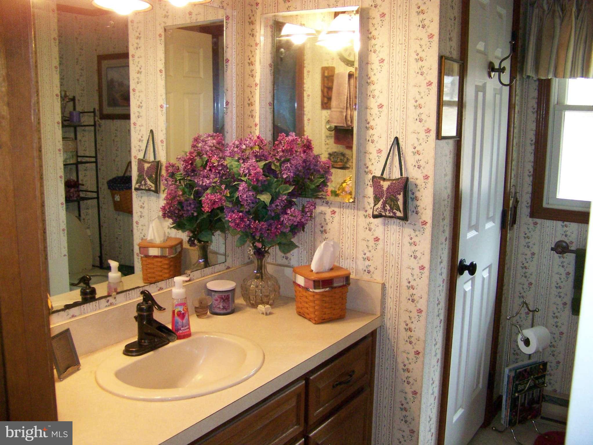 14541 Old Catoctin Road Smithsburg, MD 21783 - Photo 9 of 12 Bath
