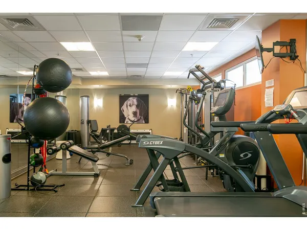 a view of a workspace with gym equipment