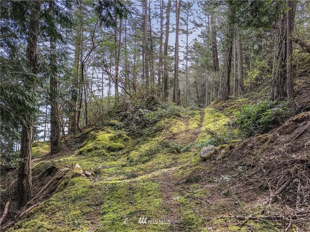 0 Reid Harbor Road Friday Harbor, WA 98250 - Photo 15 of 40 Gallery Image 15