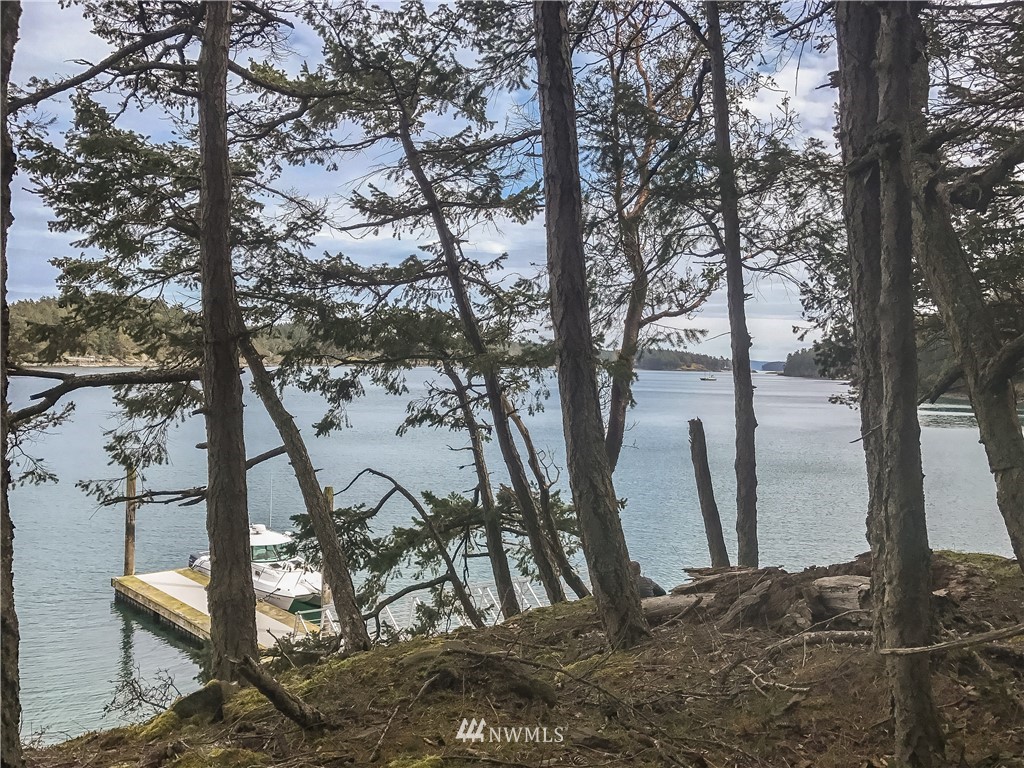 0 Reid Harbor Road Friday Harbor, WA 98250 - Photo 17 of 40 Gallery Image 17