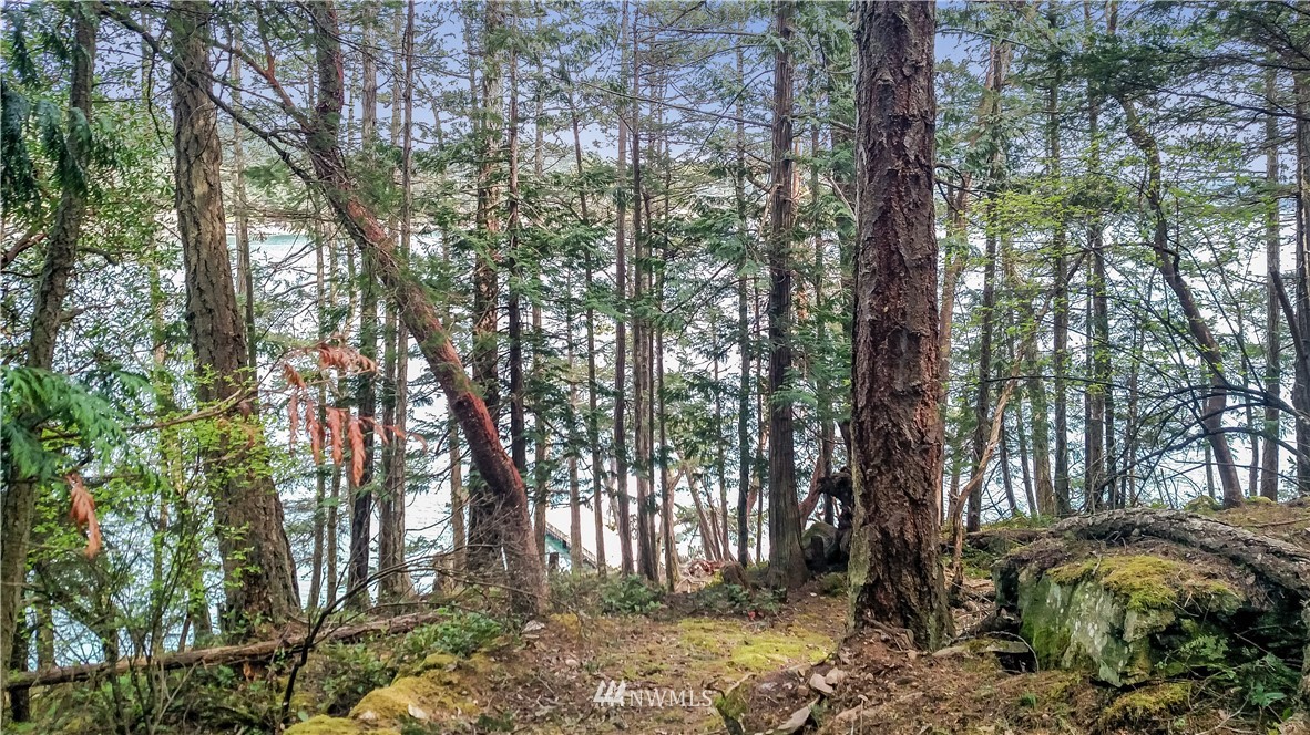 0 Reid Harbor Road Friday Harbor, WA 98250 - Photo 23 of 40 Gallery Image 23